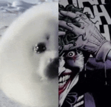 a seal next to a picture of the joker from the comic book .