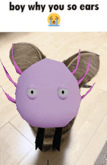 a picture of a purple axolotl with the words boy why you so ears