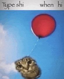 a cat is holding a red balloon with the words type shi when hi written below it