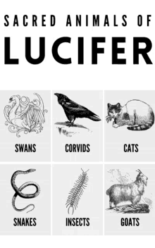 a poster showing the sacred animals of lucifer including swans corvids cats snakes insects and goats