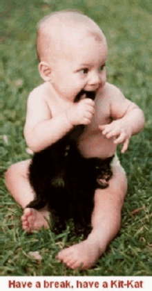 a baby in a diaper is playing with a kitten with the words have a break have a kit-kat on the bottom