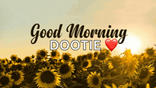 a field of sunflowers with the words " good morning dootie " on it