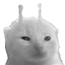 a black and white photo of a cat with alien ears .