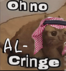 a picture of a cat with the words oh no al cringe written on it