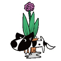 a black and white dog is standing next to a potted plant with a purple flower .