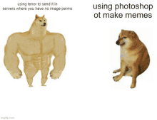 a picture of a muscular dog next to a picture of a sad dog that says using photoshop ot make memes