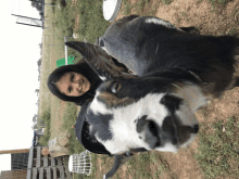 a woman standing next to a goat that is looking at the camera