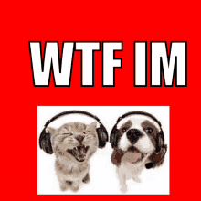 a cat and a dog wearing headphones with the words " wtf im " above them