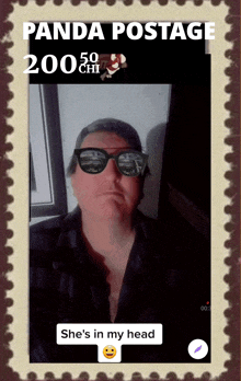 a postage stamp with a man wearing sunglasses and the words panda postage 2000