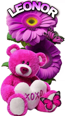 a pink teddy bear with a heart that says xoxo is surrounded by purple flowers and butterflies