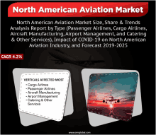 north american aviation market size share & trends analysis report by type passenger airlines cargo airlines