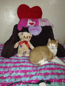 a cat laying on a bed next to a teddy bear and a hug me pillow