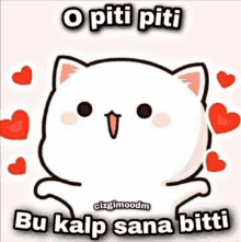 a cartoon cat is surrounded by red hearts and the words o piti piti bu kalp sana bitti