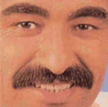 a man with a mustache is smiling and looking at the camera