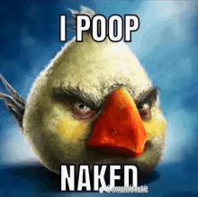 a picture of an angry bird with a caption that says " i poop naked "