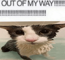 a black and white cat is taking a bath in a bathtub with a caption that says out of my way .