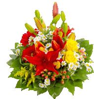 a bouquet of red yellow and white flowers with green leaves on a white background