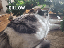 a cat laying under a christmas tree with the word pillow written above it