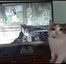 a cat standing in front of an aoc monitor