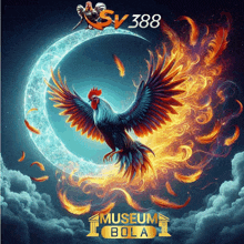 a poster for museum bola shows a rooster flying in front of a crescent moon