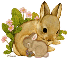 a painting of a mother rabbit holding a baby rabbit with flowers in the background