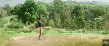 a person is standing in a field with trees in the background and a sign that says ' tiger ' on it