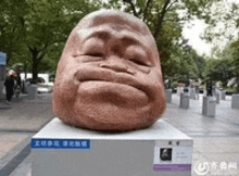 a statue of a man 's head with his eyes closed is sitting on a pedestal .