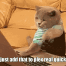 a cat is typing on a laptop with the words just add that to plex real quick written below it