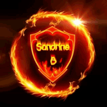 a shield with the name sandrine on it is surrounded by flames