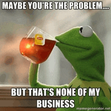 kermit the frog drinking a cup of tea with the caption maybe you 're the problem