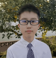 a boy wearing glasses and a striped tie looks at the camera