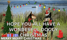 a christmas card with two dogs and a christmas tree with the words hope you all have a wonderful doggy merry merry christmas