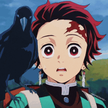 a boy with a black bird on his shoulder has animesama written on the bottom of the image