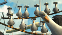 a bunch of birds are standing on a rope and one of them has a tag on it