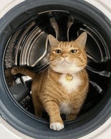 an orange and white cat is sitting in a washing machine