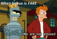 futurama bender and fry are standing next to each other with the caption when bobux is fake we are not amused