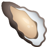 a cartoon illustration of an oyster shell with a white background