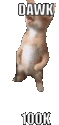 a pixel art of a dog standing on its hind legs with the words dawk 100k above it .