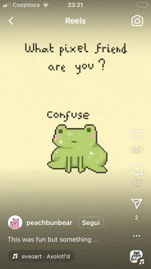 a screenshot of a pixel art frog with the words " what pixel friend are you "