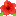 a blurry picture of a red flower with a white background .