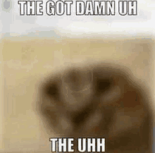 a picture of a cat with a caption that says `` the got damn uh the uhh ''