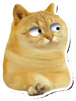 a sticker of a cat with big eyes and a white outline