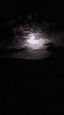 a full moon in a cloudy night sky with a tree in the foreground