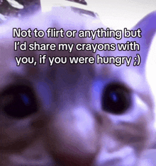 a cat with a caption that says not to flirt or anything but i d share my crayons with you if you were hungry :)