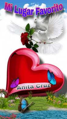 a picture of a heart with the name anita cruz written on it