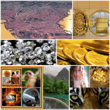 a collage of images includes a monkey a tiger and a bag of gold