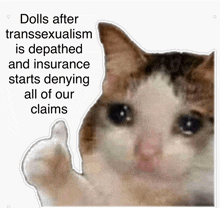 a cat giving a thumbs up with the caption dolls after transsexualism is depathed