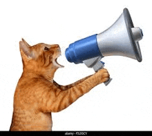 a cat is holding a megaphone in its paws and shouting into it .