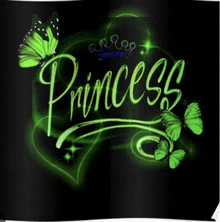 a poster that says princess with butterflies and a crown