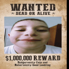 a wanted poster with a picture of a young boy